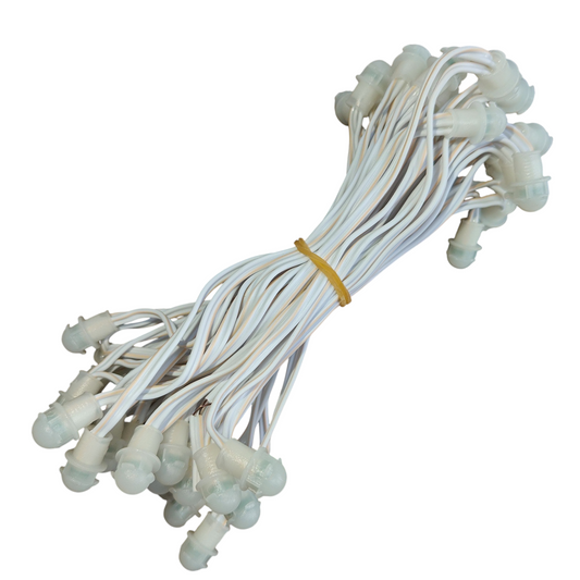 12 Volt SMD 12MM WarmWhite color
