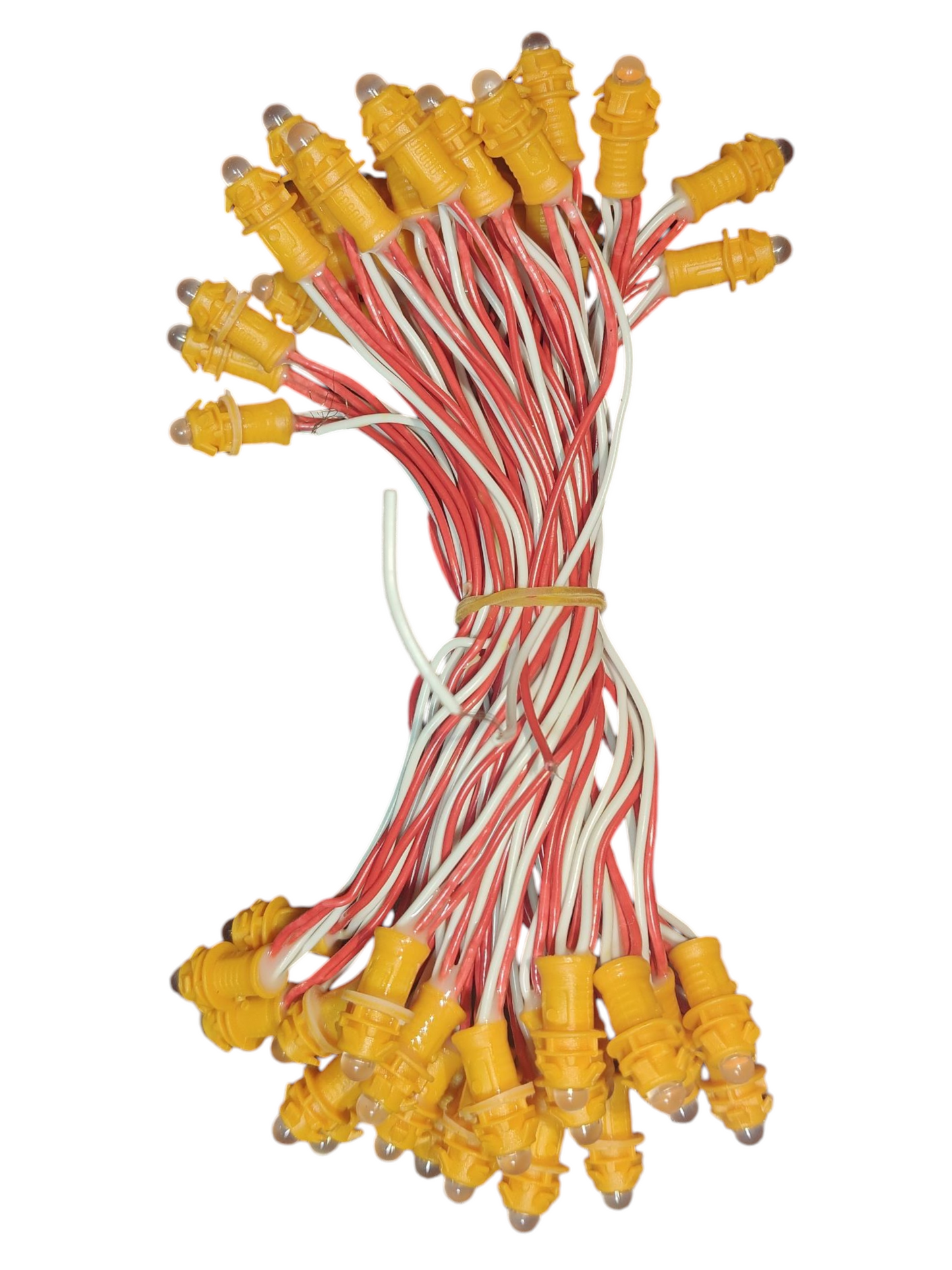 12 Volt Single Color (Warm White)